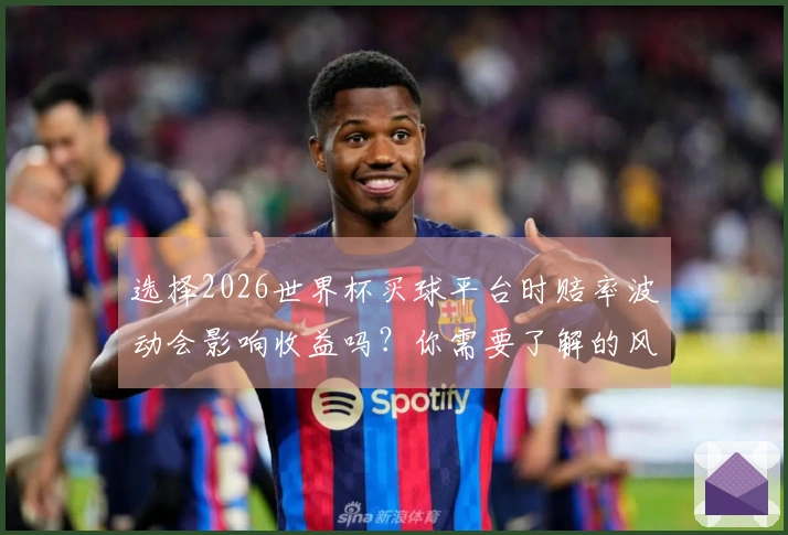 选择2026世界杯买球平台时赔率波动会影响收益吗？你需要了解的风险因素
