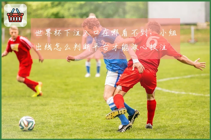 世界杯下注入口在哪看不到，小组出线怎么判断平台才能放心投注