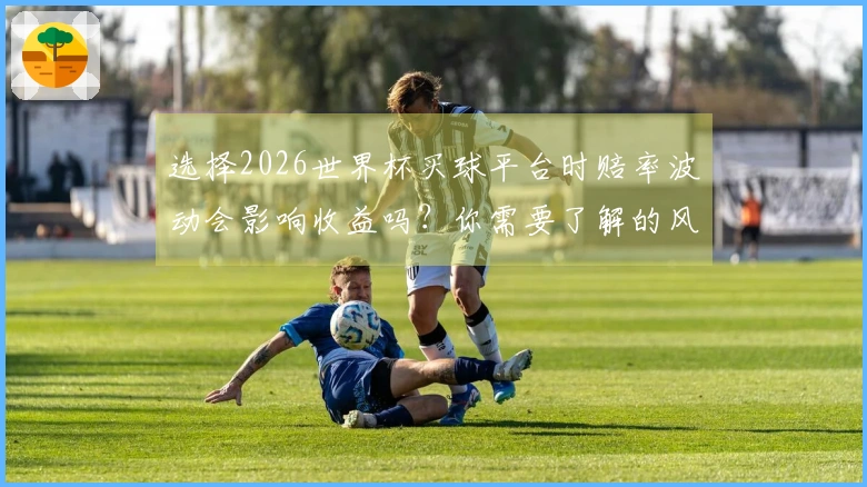 选择2026世界杯买球平台时赔率波动会影响收益吗？你需要了解的风险因素
