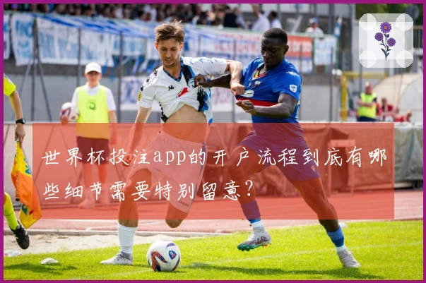 世界杯投注app的开户流程到底有哪些细节需要特别留意？