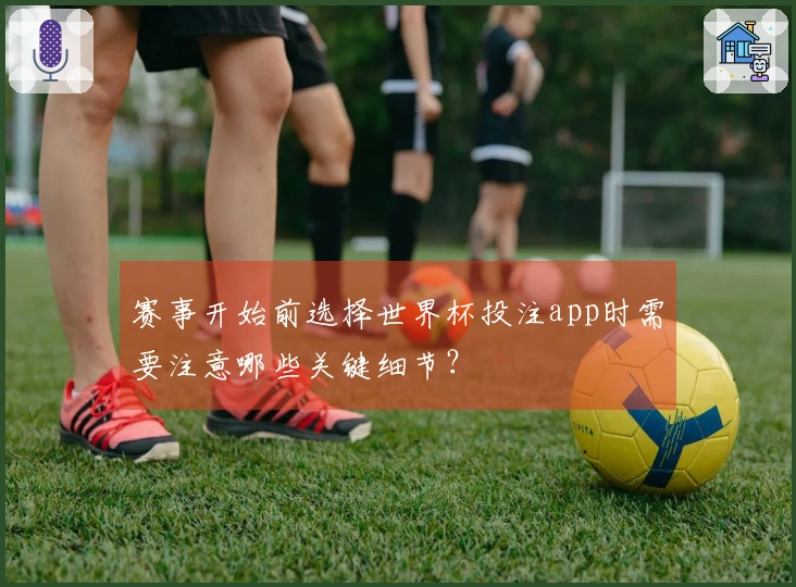 赛事开始前选择世界杯投注app时需要注意哪些关键细节？