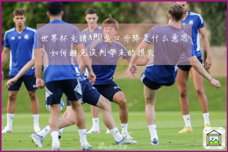 世界杯竞猜APP盘口升降是什么意思？如何避免误判带来的损失