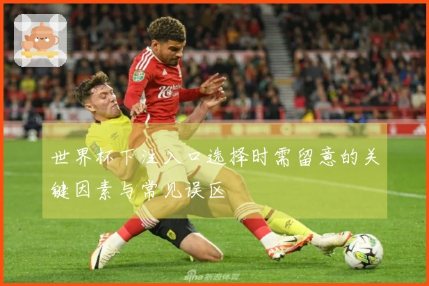 世界杯下注入口选择时需留意的关键因素与常见误区