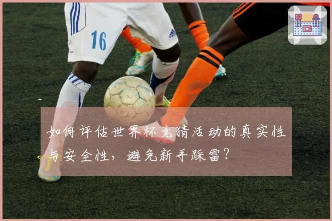 如何评估世界杯竞猜活动的真实性与安全性，避免新手踩雷？