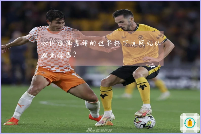 如何选择靠谱的世界杯下注网站以避免踩雷？