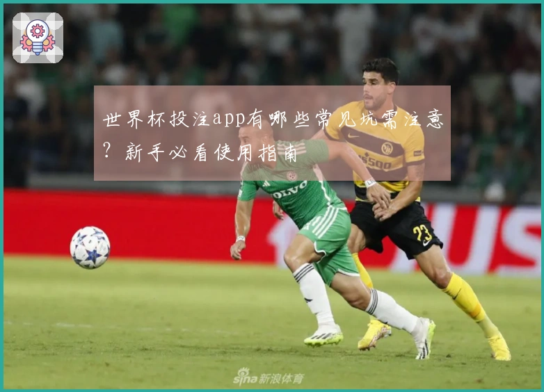 世界杯投注app有哪些常见坑需注意？新手必看使用指南
