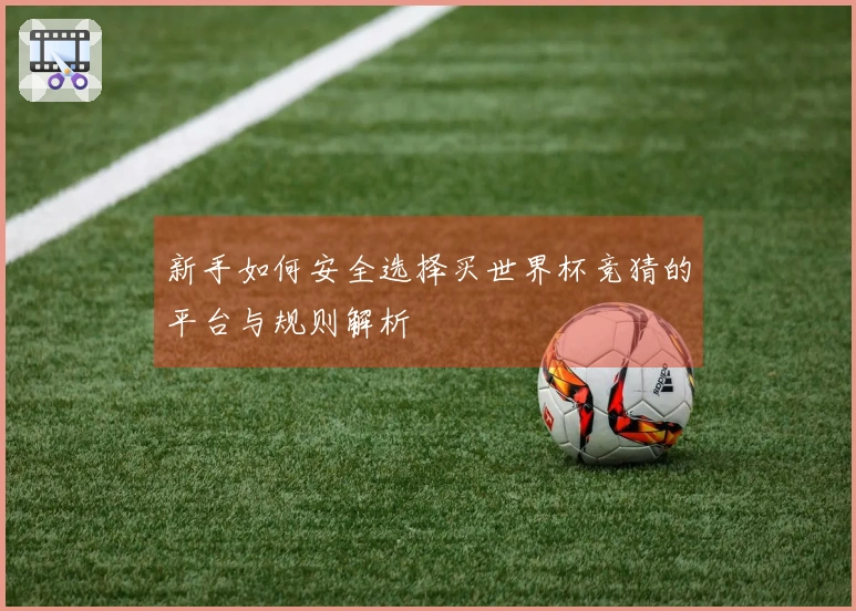 新手如何安全选择买世界杯竞猜的平台与规则解析