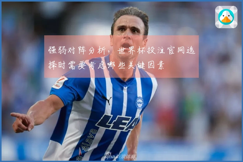 强弱对阵分析，世界杯投注官网选择时需要考虑哪些关键因素