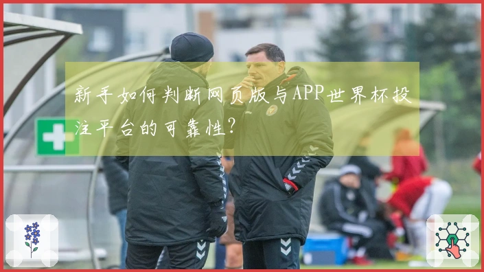 新手如何判断网页版与APP世界杯投注平台的可靠性？