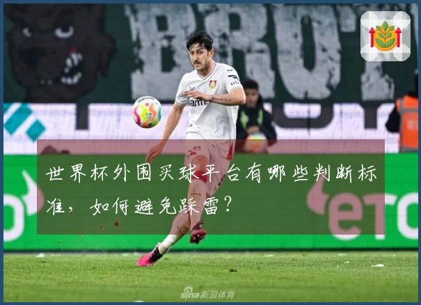 世界杯外围买球平台有哪些判断标准，如何避免踩雷？